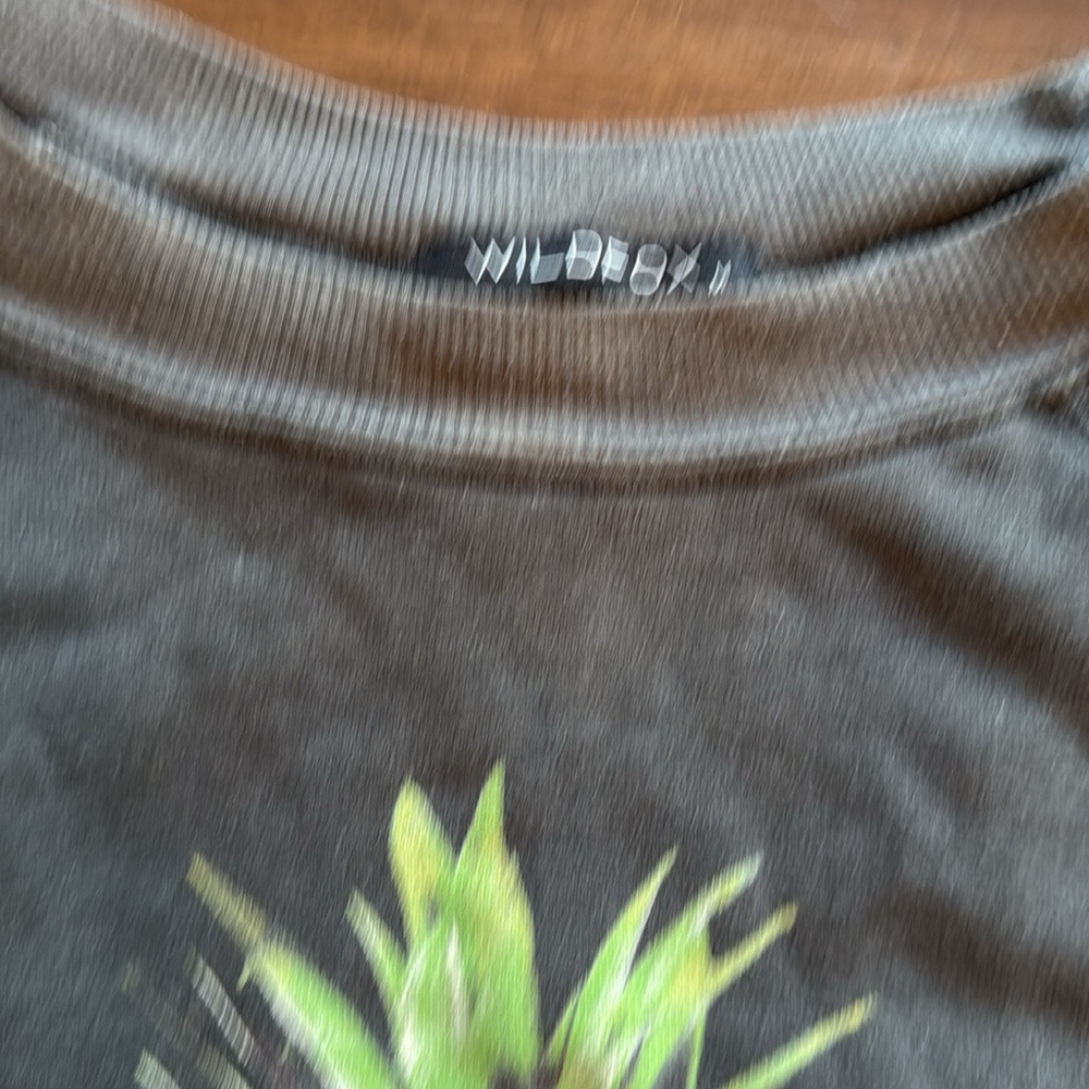 Wildfox Gray Sweatshirt with Disco Pineapple Design - Picture 3 of 5